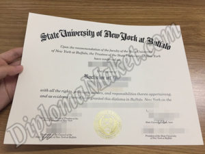 The Insider's Guide to State University of Now York at Buffalo fake diploma