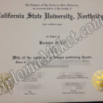 Do You Recognize the 3 Early Warning Signs of CSUN fake degree?