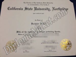 Do You Recognize the 3 Early Warning Signs of CSUN fake degree?