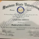 What if You Could Montana State University fake diploma Today?