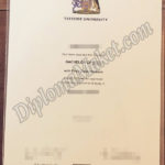 Everyone Loves Teesside University fake certificate
