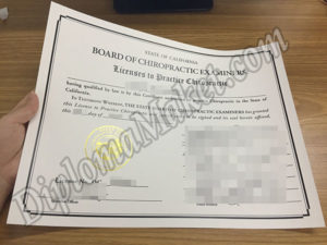 The State Board of Chiropractic Examiners fake diploma Secrets