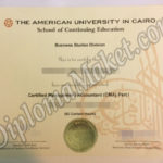 A Guide To The American University in Cairo fake diploma
