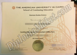 A Guide To The American University in Cairo fake diploma