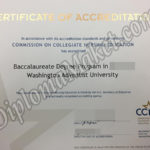 Are You Worried About CCNE fake degree?