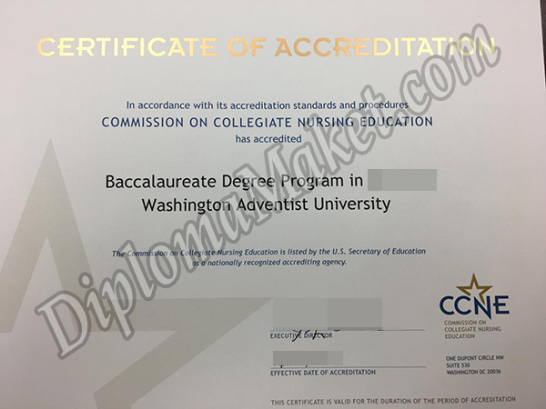 CCNE fake degree CCNE fake degree Are You Worried About CCNE fake degree? CCNE