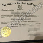 Remarkable Website – Dominion Herbal College fake certificate Will Help You Get There