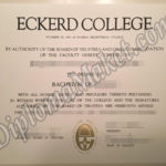 Want To Step Up Your Eckerd College fake diploma? You Need To Read This First