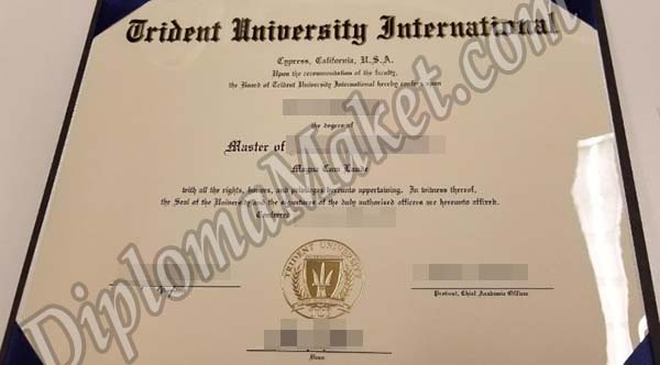 Trident fake diploma Trident fake diploma The Greatest Trident fake diploma I Ever Made Trident University International