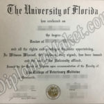 The Insider’s Guide to University of Florida fake degree