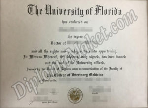 The Insider's Guide to University of Florida fake degree
