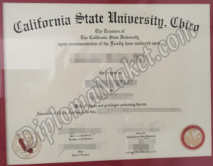 Your Key To Success: CSU Chico fake degree