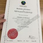 How To Find The Right APIIT fake certificate