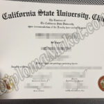 Where Is The Best California State University, Chico fake degree?