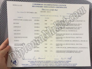Breaking News Story About degree Caribbean Examinations Council fake certificate