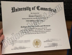 Top 6 Ways To Buy A Used University of Connecticut fake degree
