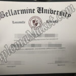 Product Inquiry Bellarmine University 150x150