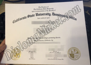 The Complete Beginner's Guide to CSUDH fake diploma