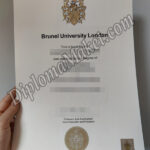 A Guide To Your Brunel University London degree with transcript Today